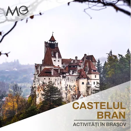 Mohost Nine - Scenic View In Alphaville * Brasov